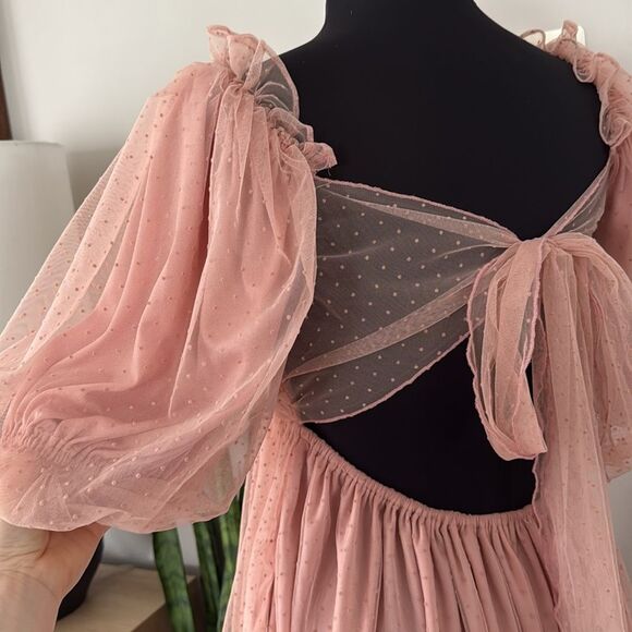 Mable Whimsical Blush Organza Babydoll Muse Chiffon Tulle Swiss Dot Skater Dress - Picture 12 of 13